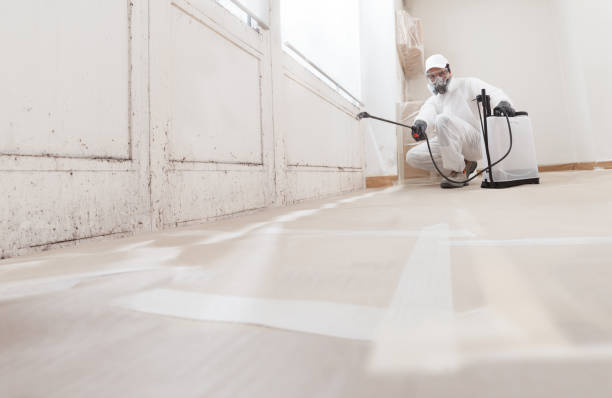 24/7 Emergency Mold Remediation experts in Streamwood, IL